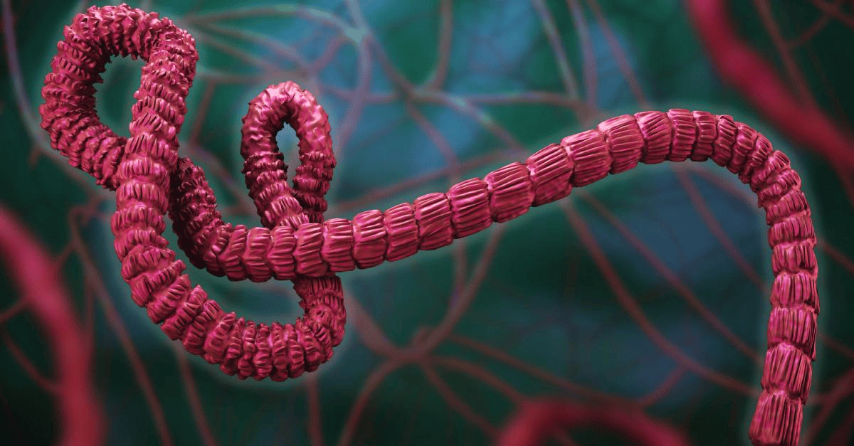 Ebola Outbreak in the Democratic Republic of Congo Surpasses 9,000 Confirmed Cases